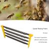 Queen Rea e, Beekee Queen Rea System, Portable Cell Kit with 60Pcs Cells, Weight e for Beekee, Includes 2 ES 4 Bee Pulp view 3