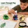 DECHOUS 3pcs Realistic Wind-up Beetle for Head and Tail Movement Lifelike Simulation Insect Figures for Educational Play Halloween and April Fool's Day Decorations Interactive Mechanical view 3