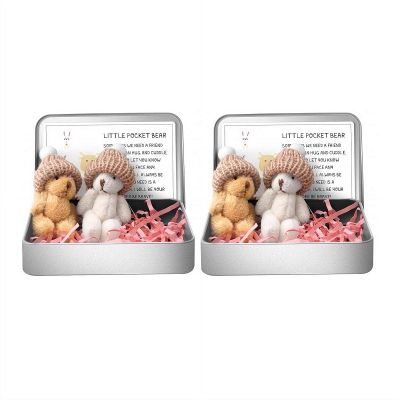 2 Pcs Little Pocket Bear Hug in a Tin Box,Worry Bear Hug in a Box Mini Plush Bears Set with Inspirational Card,Handmade Mini Plush Bears in Boxs for Kids Friends Women Men