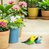 Beaupretty 2pcs Small Parrot Figurine Bird Model Realistic Miniature Decorative Ornaments for Home Office Cabinet Display Green Blue view 4