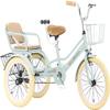 JIYIAN Green,20 inches,Child Double Seats,Tricycle with Basket Adjustable Handle Steel 3 Wheel Cruiser Trikes, Ideal Gift for Kids view 1