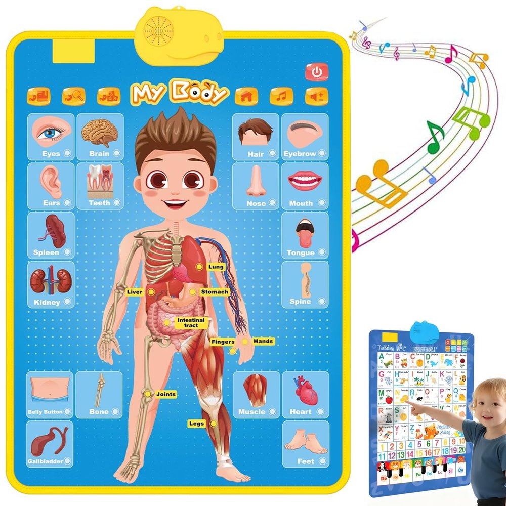 2025 New Talking Wall Chart for Kids  English & Spanish Learning Poster with Songs, ABCs, Numbers, Animal Words & Piano, Electronic Alphabet Wall Chart for Toddler 1-6 Year Old (My Body)