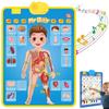 2025 New Talking Wall Chart for Kids  English & Spanish Learning Poster with Songs, ABCs, Numbers, Animal Words & Piano, Electronic Alphabet Wall Chart for Toddler 1-6 Year Old (My Body) view 1