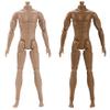 1/6 Scale Action Figure Multi Jointed Movable Male Muscular Action Figure Body for Display Doll Collection Brown 1/6 Scale Custom .- view 3