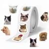 1000pcs Funny Cats Cartoon Graffiti Stickers DIY Guitar Notebook Suitcase Water Resistant Sticker Children Toy view 1