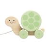 Pearhead Wooden Turtle Push and Pull Toy, Montessori Shake and Rattle Shell, Baby Walking and Gross Motor Development Learning, Pull Along Car Toy, Ages 12m+ view 1