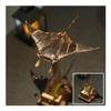Authentic2026 Upgraded Version Handmade Wooden Electric Bionic Manta Ray Ornament, Wooden Perpetual Motion Manta Ray Automation with Lifelike Swimming Posture (2PC)(2pc) view 4