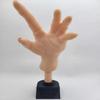 3DEXL Scary Movie Strong Hand Display Prop Replica with Stand - Take My Strong Hand view 3