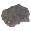 Aqur2020 Dinosaur World Model, Static Display, Plastic, Parent-Child Interaction, Tree Root Pedestal, Educational Game view 1