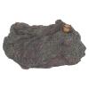 Aqur2020 Dinosaur World Model, Static Display, Plastic, Parent-Child Interaction, Tree Root Pedestal, Educational Game view 2