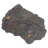Aqur2020 Dinosaur World Model, Static Display, Plastic, Parent-Child Interaction, Tree Root Pedestal, Educational Game view 3