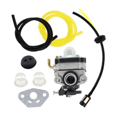 Carburetor Kit Fit For WYL-242 WYL-242-1 S430