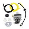 Carburetor Kit Fit For WYL-242 WYL-242-1 S430 view 1