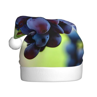 aabkjgfr Grape Print Adult Santa Hat,Soft And Comfortable Santa Hat,Suitable For New Year'S Holiday Parties,Indoors And Outdoors.