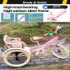 3 Wheels Bike Trike,Single Brake,Carbon Steel Frame,Pedal Tricycle for Recreational Cycling, Exercise,Outdoor Picnics,Rear Passenger Seat with Hidden Compartment view 2