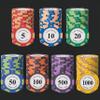 HOLSM-III Top Clay 500 Piece Poker Chips Set with Elegant Case, Professional Poker Chips for Ideal for Home Poker, Board Games, Math Counting (300 Piece) view 1