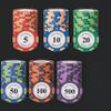 HOLSM-III Top Clay 500 Piece Poker Chips Set with Elegant Case, Professional Poker Chips for Ideal for Home Poker, Board Games, Math Counting (200 Piece) view 1