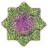 First Earth Flow Star - Dapo Star - UV Reactive - 25" - Beginner to Expert Flow Toy - Spinning Rave Prop (Cheshire Dreams) view 2