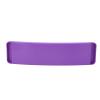 Aumotop Spinning Balance Board, Thick and WearResistant Dance Spinning Board for Dancers, Nylon Material (Purple) view 3
