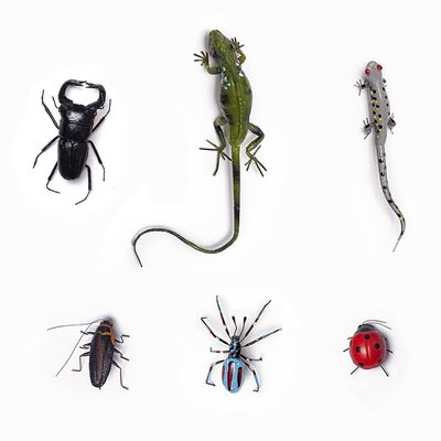 6PCS Realistic Insects Figurines Set,Handmade Polymer Clay Bugs,Magnetic Refrigerator Magnets Animal Figures Set with Lizard Beetle Spider Cockroach, Educational & Birthday Gift for Kids(Random Color)
