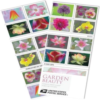 100pcsBeauty RomanceFavor 5Packs ColorfulLOVE Invitations-100Pcs