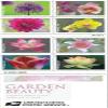 100pcsBeauty RomanceFavor 5Packs ColorfulLOVE Invitations-100Pcs view 2
