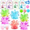 24 Pack Valentines Day Crystal Growing Science Kits for Kids, Classroom Exchange Gifts with Cards, School Valentines Day Activities view 1