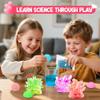 24 Pack Valentines Day Crystal Growing Science Kits for Kids, Classroom Exchange Gifts with Cards, School Valentines Day Activities view 2