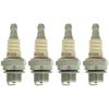 GENUINE OEM Replacement For Champion OEM PART # RCJ8, SPARK PLUG 4 PACK view 1