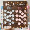 100pcs Bear Gender Reveal Stickers, 2" Bear Balloons Gender Reveal Decorations, Baby Shower Party Supplies view 2
