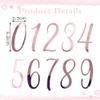 10 Pcs Acrylic Number 0-9 Cake Decorations, Rose Gold Mirror DIY Cake Toppers, Suitable for Birthday, Wedding, Anniversary Cake Decorations Party Supplies view 4