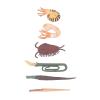 Aqur2020 Prehistoric Sea Animal Toys, PVC Material, Handmade Ocean Figures, 6 or 12 Pieces, Educational Collectible view 3