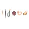 Aqur2020 Prehistoric Sea Animal Toys, PVC Material, Handmade Ocean Figures, 6 or 12 Pieces, Educational Collectible view 4