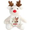 Adorable Reindeer Alphabets - Personalized Stuffed Reindeer, Initial Name Letter Christmas Stuffed Reindeers, Baby Initial Name Letter Reindeers Soft Plush, Animal Gifts for Kids on Xmas, Holiday view 1