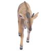 Aqur2020 PVC Antelope Model, Toys for, Cute Lifelike Forest Animal Decoration, Educational Props for view 1