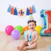 1st Boy High Chair Banner - Blush Pink 1st Girl High Chair Banner,Floral First birthday decor, Wildflower Photo prop,Royal Blue Orange Tassel,First Green Shades Tassel (Blue Orange) view 3