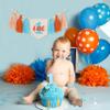 1st Boy High Chair Banner - Blush Pink 1st Girl High Chair Banner,Floral First birthday decor, Wildflower Photo prop,Royal Blue Orange Tassel,First Green Shades Tassel (Orange Blue) view 4