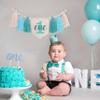 1st Boy High Chair Banner - Blush Pink 1st Girl High Chair Banner,Floral First birthday decor, Wildflower Photo prop,Royal Blue Orange Tassel,First Green Shades Tassel (Mint Green) view 4