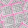 Bingo Paper Sheets  4 Faces, 8" x 8"  Pack of 750 Disposable Bingo Cards  Recyclable Dauber Paper for Seniors, Adults & Community Events (Pink) view 3
