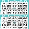 Bingo Paper Sheets  2 Faces, 4" x 8"  Pack of 750 Disposable Bingo Cards  Recyclable Dauber Paper for Seniors, Adults & Community Events (Aqua) view 2