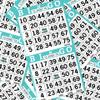 Bingo Paper Sheets  2 Faces, 4" x 8"  Pack of 750 Disposable Bingo Cards  Recyclable Dauber Paper for Seniors, Adults & Community Events (Aqua) view 3