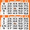 Bingo Paper Sheets  2 Faces, 4" x 8"  Pack of 750 Disposable Bingo Cards  Recyclable Dauber Paper for Seniors, Adults & Community Events (Orange) view 2