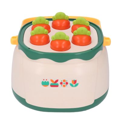 Aqur2020 Colorful Flower Sorting Stacking Game, Educational Toy for Kids, ABS and PP Material, 42 Pieces