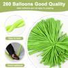 100Pcs Light Green 260 Balloons Long Balloons for Tying Balloon Arch & Twisting Animal Balloon, Thick Latex for Magic Clown Wedding Birthday Party Decorations view 2