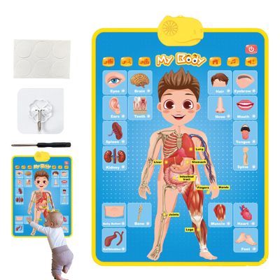 Electronic Alphabet Wall Chart, 41x55.5cm PVC English Audio Wall Chart, Touch-Sensitive Poster, Kids Talking Learning Board, Music Speech Charts, Interactive Electronic Point Reading Flipchart Pronun