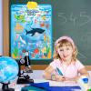 Electronic Alphabet Wall Chart, 41x55.5cm PVC English Audio Wall Chart, Touch-Sensitive Poster, Kids Talking Learning Board, Music Speech Charts, Interactive Electronic Point Reading Flipchart Pronun view 3