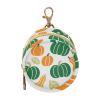 susiyo Pacifier Case Autumn Colorful Pumpkins Portable Pacifier Storage with TPU Lining view 1