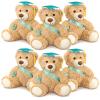 Aoriher 6 Pcs Class of 2026 Gifts Graduation Teddy Bears, 14 Inch Khaki Cute Soft Plush Stuffed Bears Animals with Cap, Diploma, Congratulations Sash, End of Year Gift for Kids Girl Boy Adult(Green) view 1