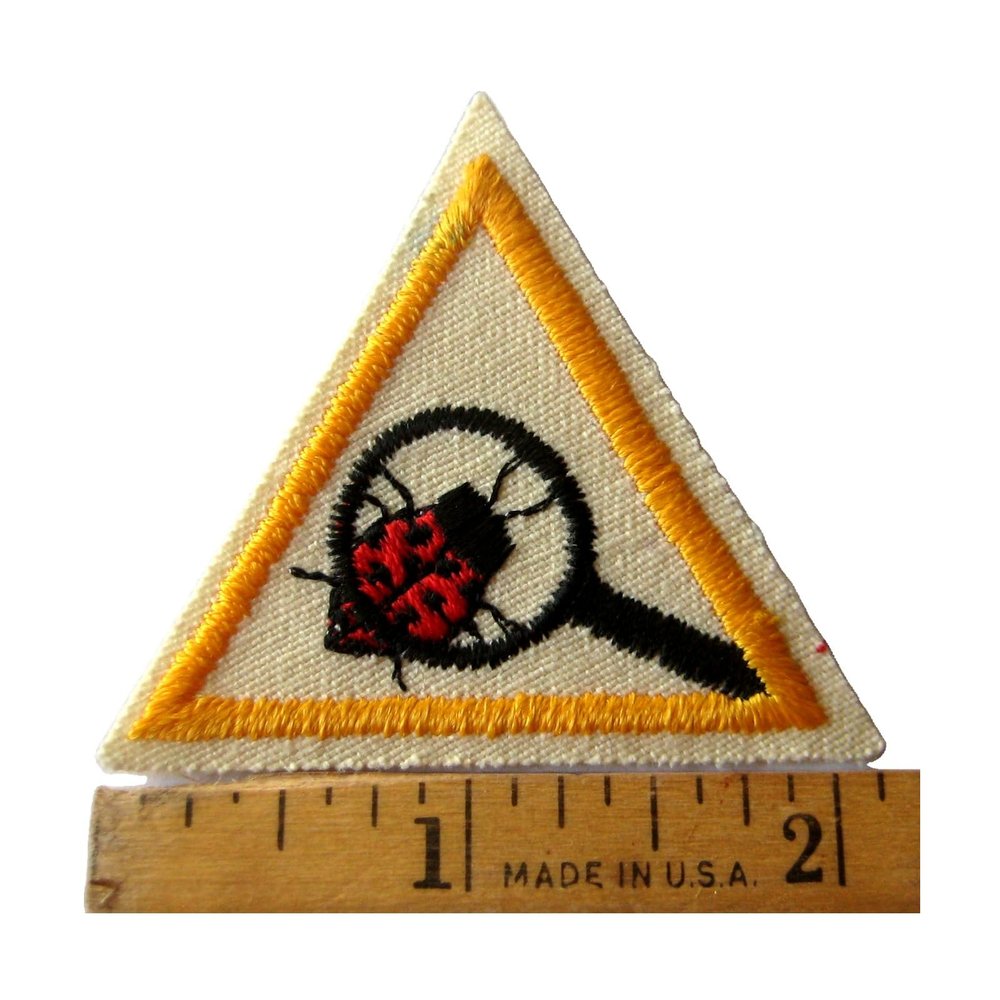 Girl Club 1986 98 Brownie Try It Outdoor Fun Badge Lady Bug Patch Eco Explorer