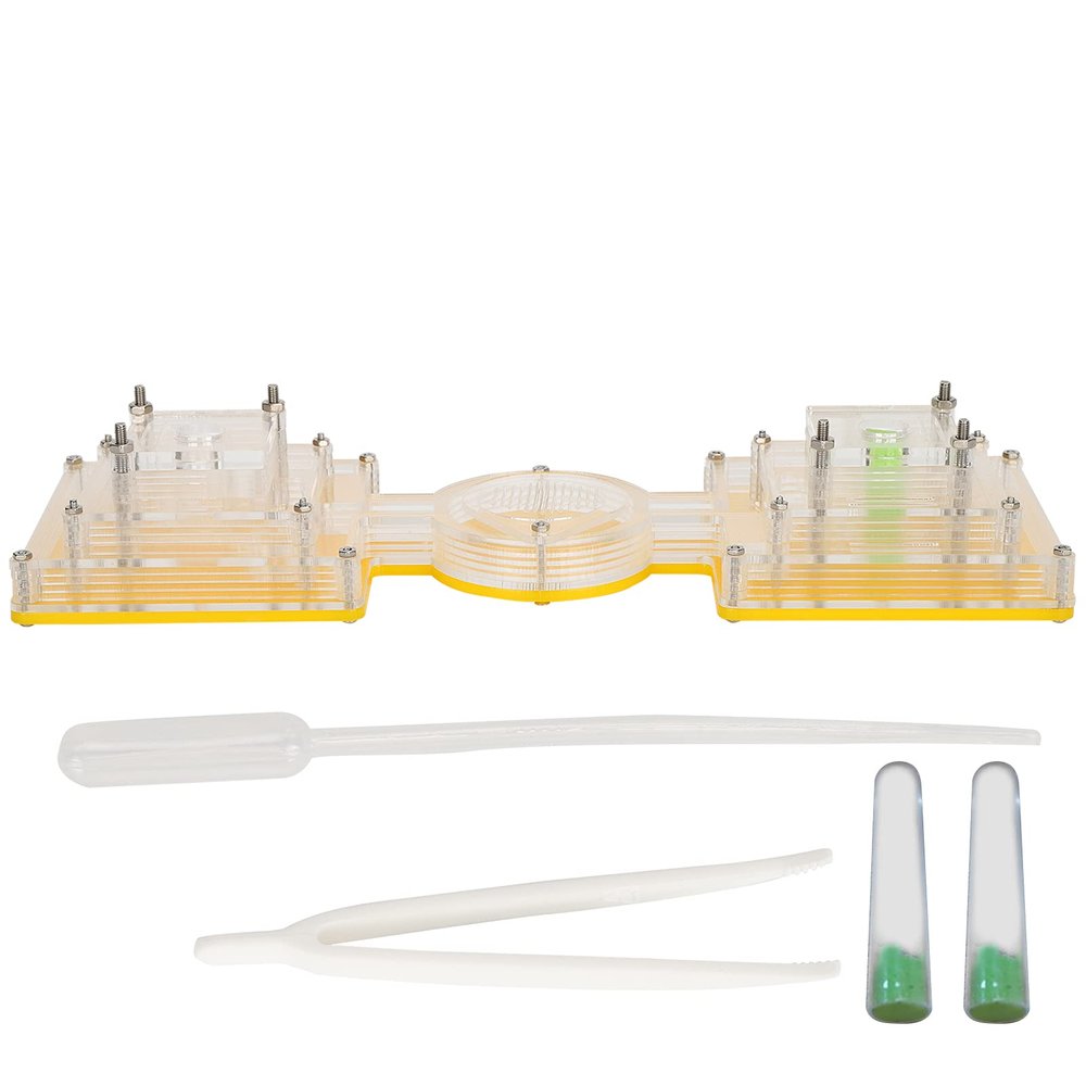 Nest House Acrylic Castle Villa Farm House Moisturizing Water Tower for Feeding Science Education Toy for Kids Parents Observation High Transparency Durable 24x8cm